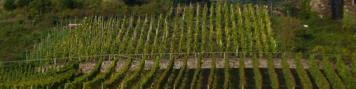 Burg Klotten - Burg Coraidelstein