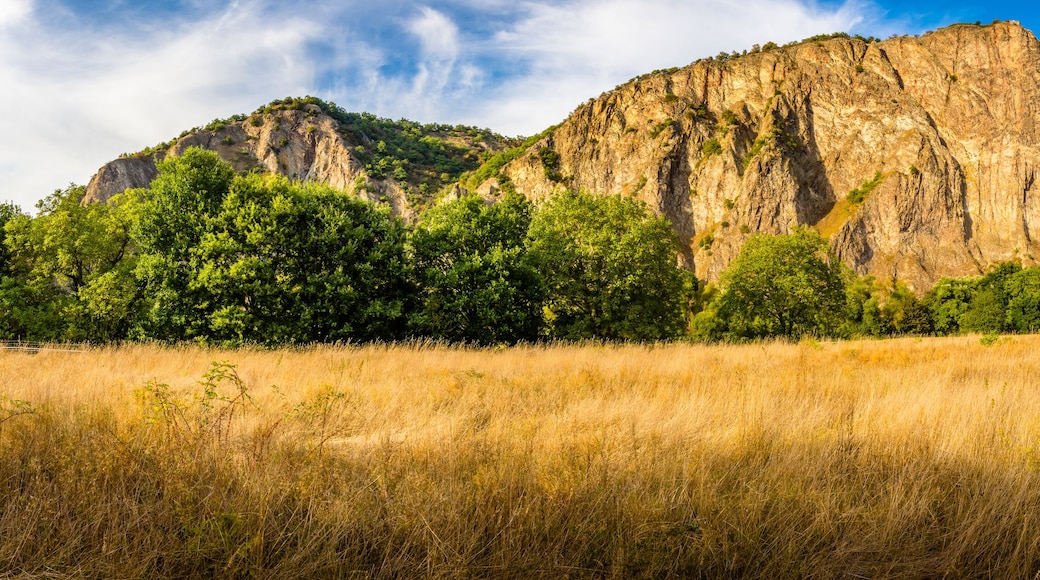 Bad Münster am Stein-Ebernburg