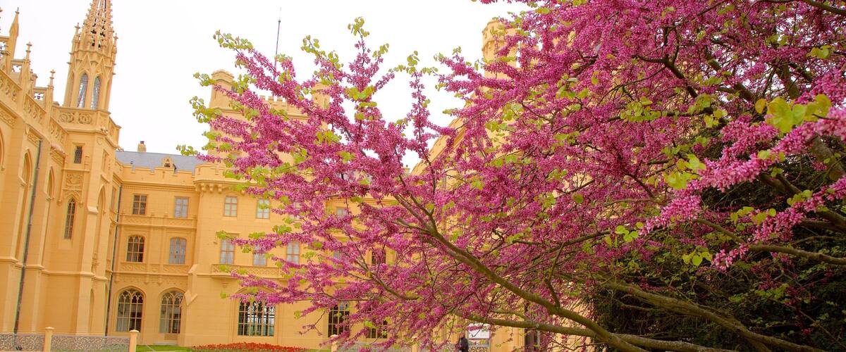 莱德尼采列支敦士登城堡