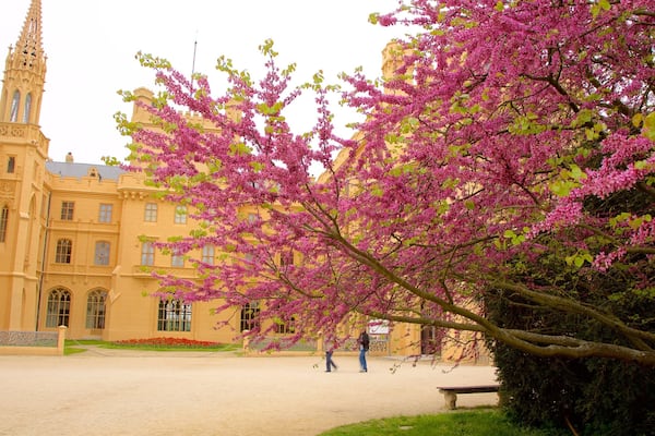 Lednice Castle mettant en vedette patrimoine architectural, chĂąteau ou palais et fleurs