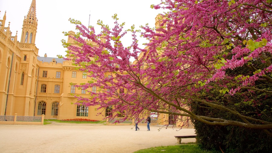 Lednice Liechtenstein Castle showing heritage architecture, heritage elements and flowers