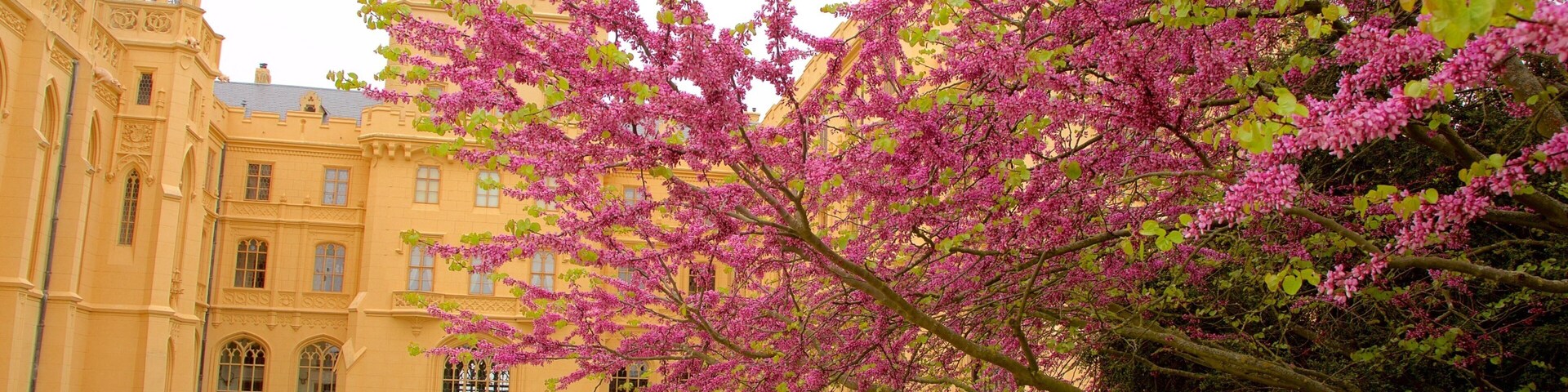 Lednice Liechtenstein Castle showing heritage architecture, heritage elements and flowers