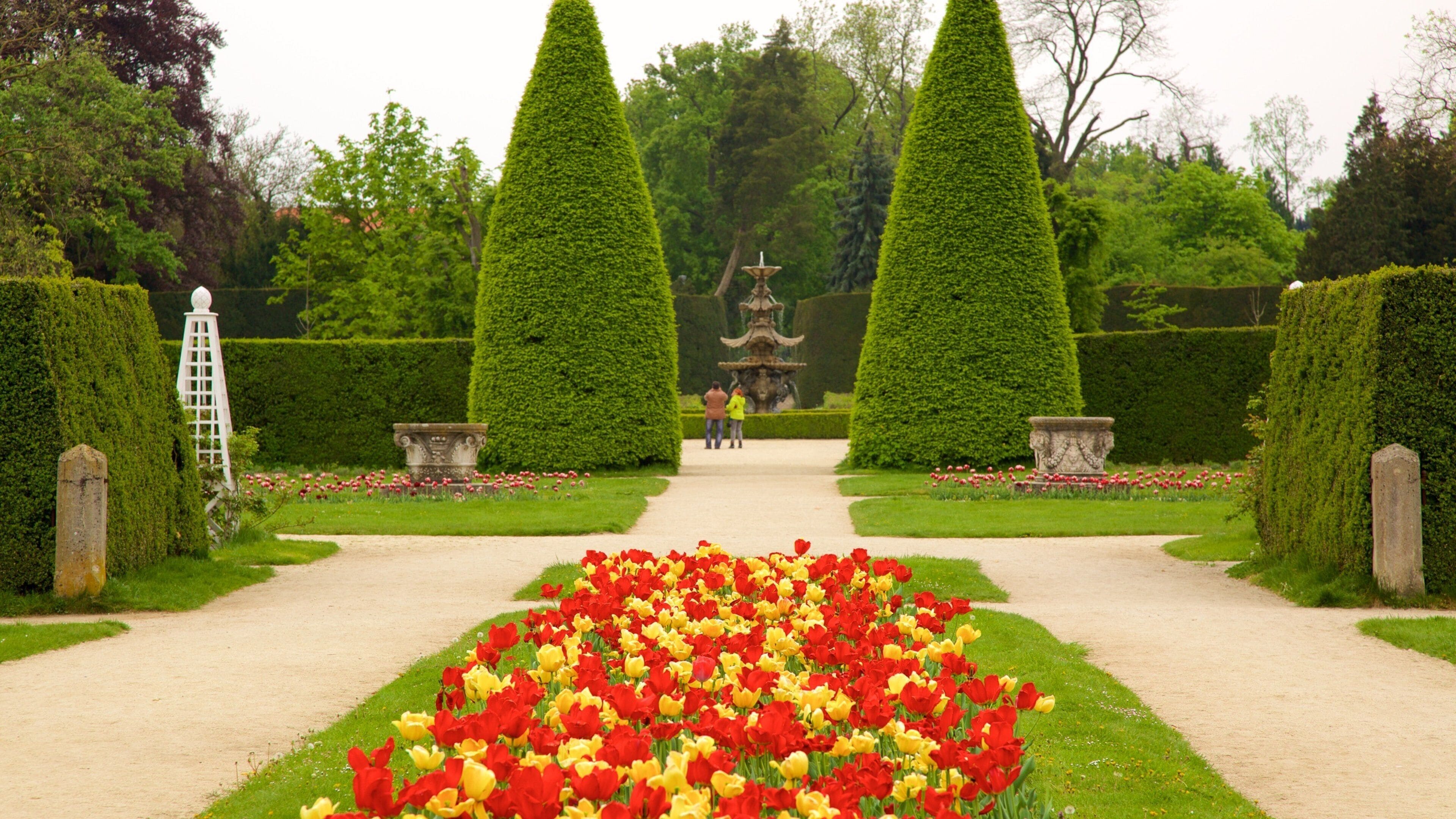 A garden with a central pathway, two tall conical hedges, a fountain, and a flower bed with red and yellow tulips.