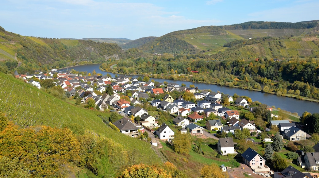 The Saarburg village along the Saarriver, as seen from the castle, with the vineyards in the background