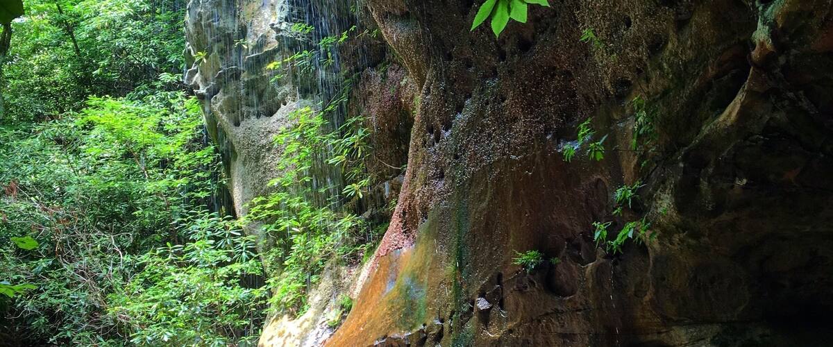 A waterfall cascading down a rocky cliff surrounded by lush greenery.
