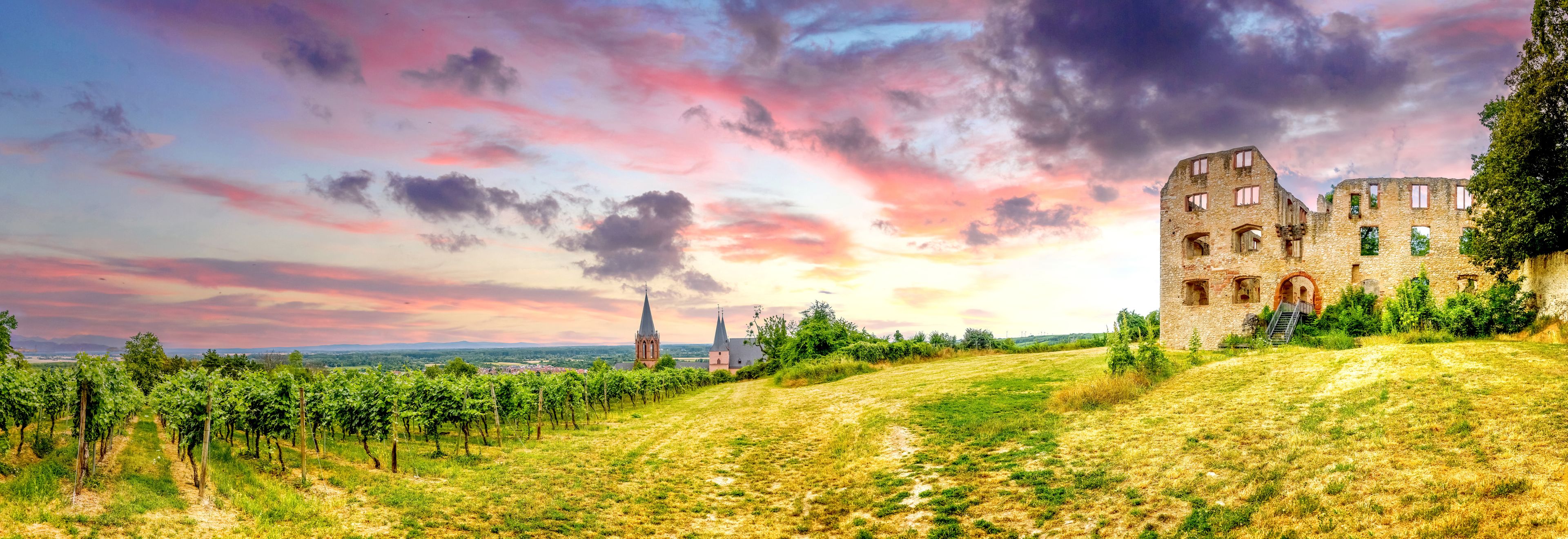 Burg, Oppenheim, Rheinland Pfalz, Deutschland 