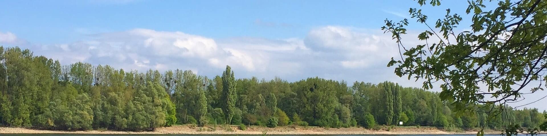 Beautiful bike tracks along the river Rhine... I started in Oppenheim today. It's all nice and flat!