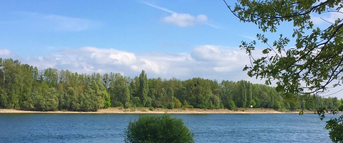 A calm lake with a rocky shoreline, surrounded by dense trees and a clear sky.