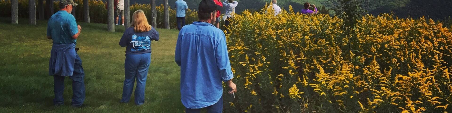 Cass Railroad - Bald Knob observation deck overlooking Greenback Radio Telescope in West Virginia.