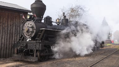 Steam engine at Cass Scenic Railroad State Park, West Virginia.