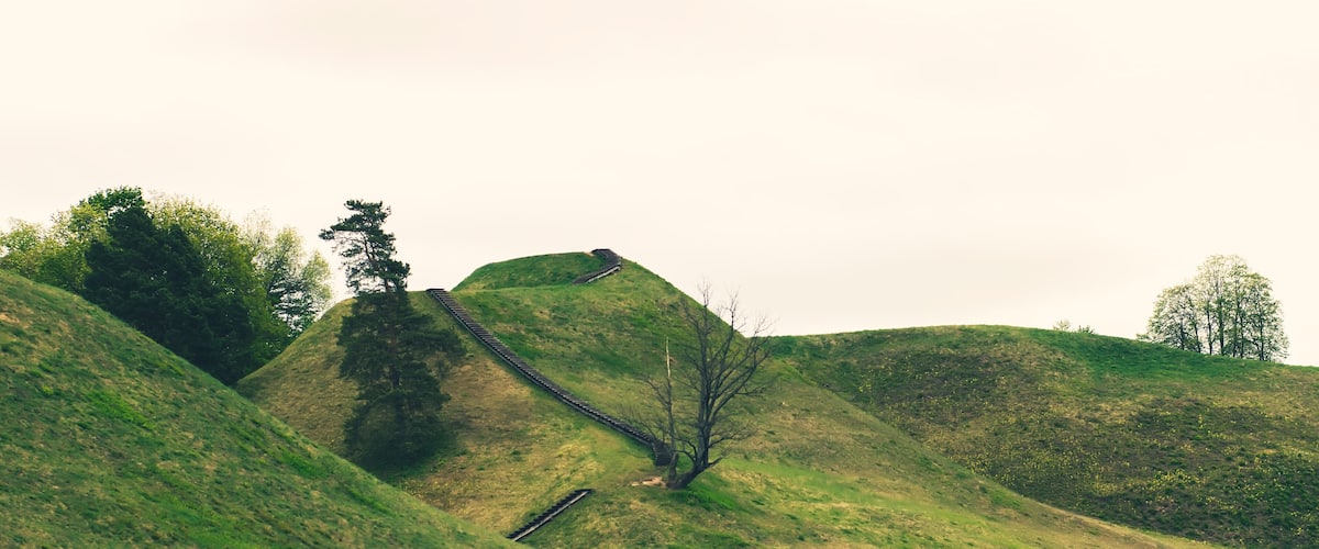 A grassy hill with a wooden staircase leading up to a tree.