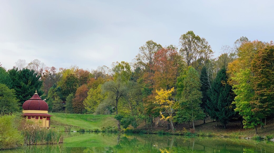 Close to nature and very therapeutic mentally. A must visit place if you are in West Virginia #trovember #outdoors #nature #freshair #fallcolors