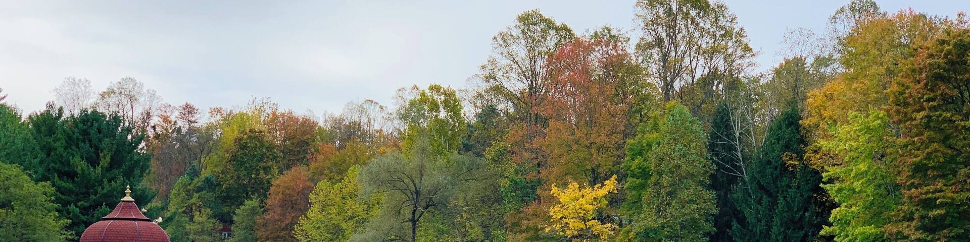 Close to nature and very therapeutic mentally. A must visit place if you are in West Virginia #trovember #outdoors #nature #freshair #fallcolors
