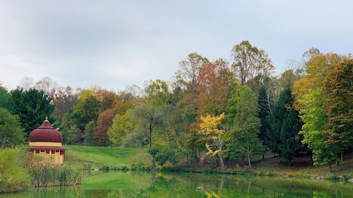 Close to nature and very therapeutic mentally. A must visit place if you are in West Virginia #trovember #outdoors #nature #freshair #fallcolors