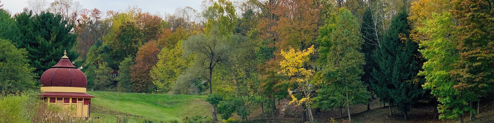 Close to nature and very therapeutic mentally. A must visit place if you are in West Virginia #trovember #outdoors #nature #freshair #fallcolors