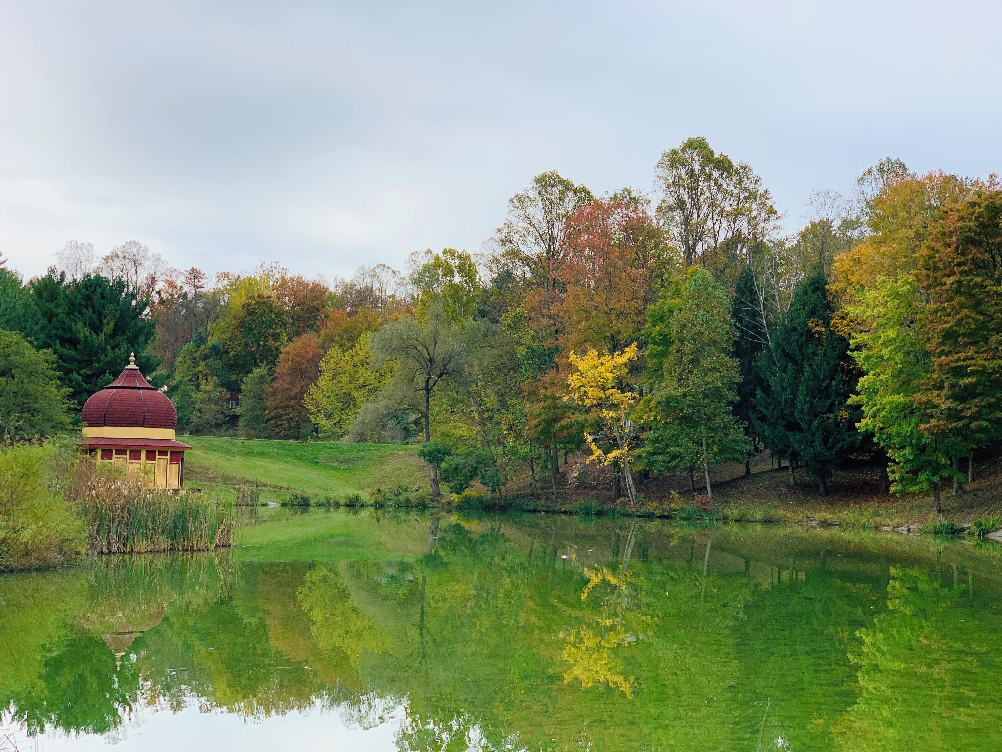 A pond with a small building and trees in the background.