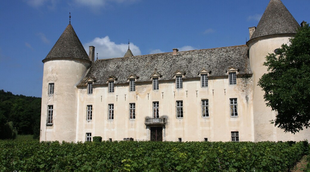 Savigny-les-Beaune