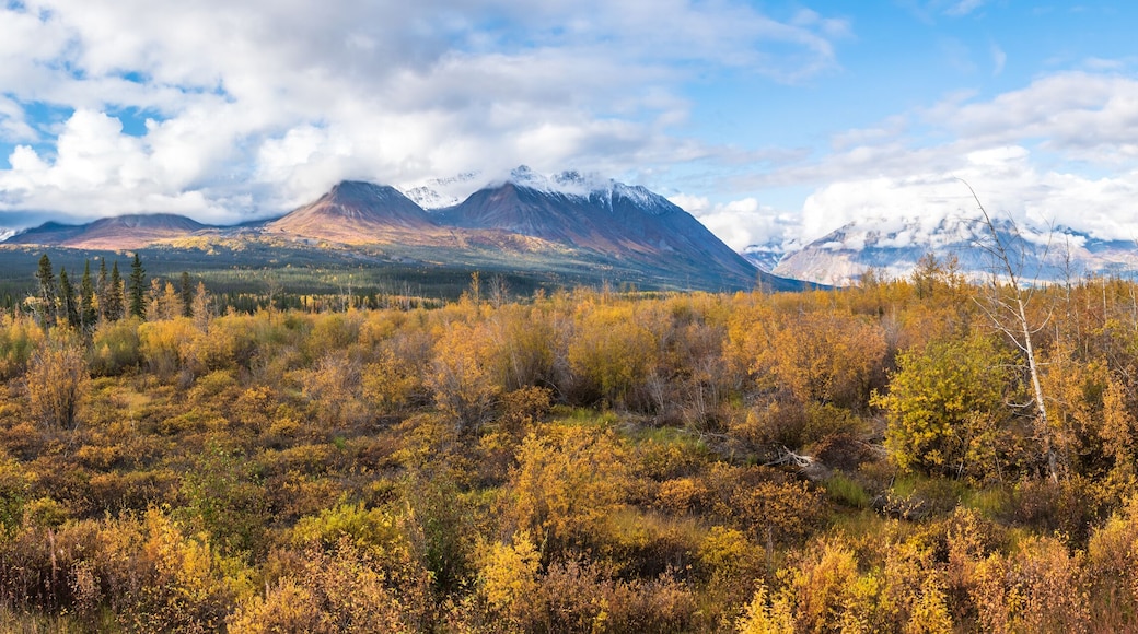Panoramic landscape in Yukon Territory, northern Canada during September with spectacular fall, autumn colors on perfect blue sky day with huge mountains of Kluane National Park.