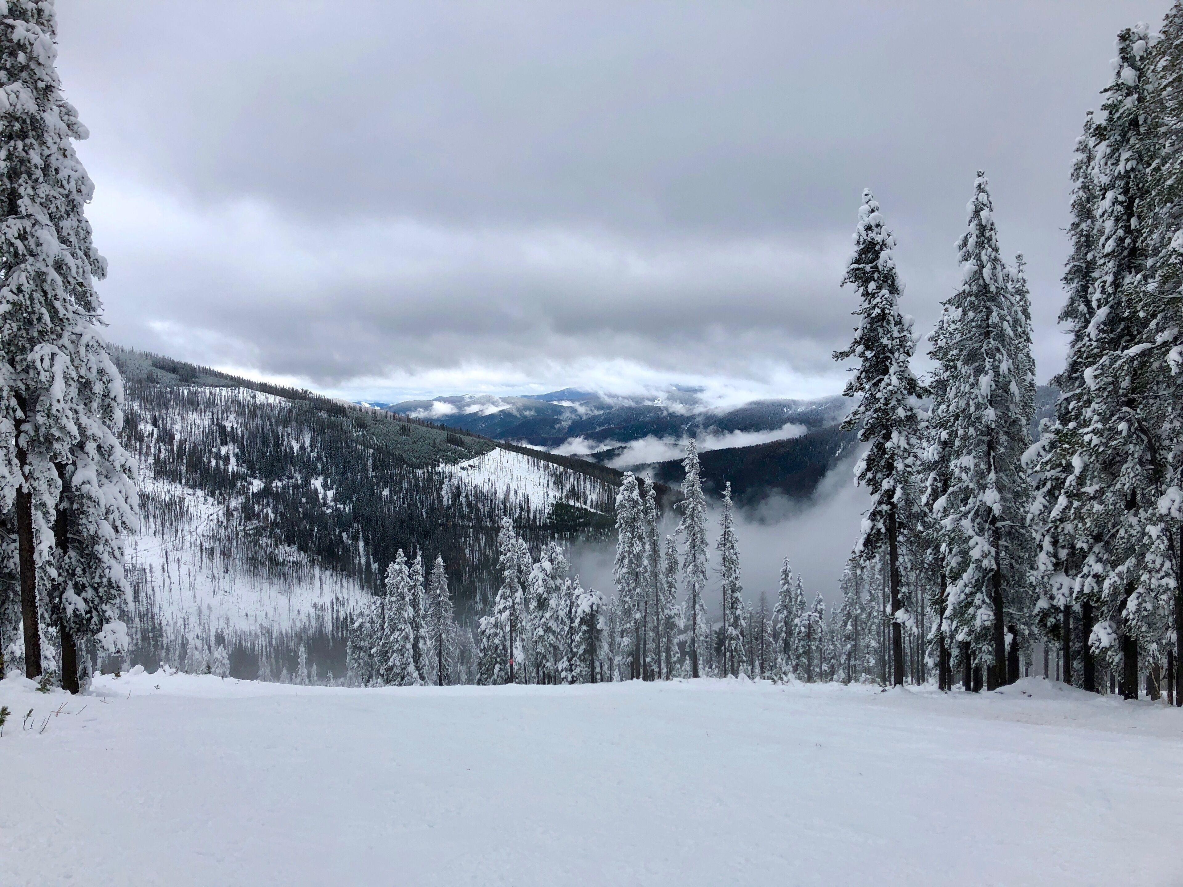 Skiing at Lookout Pass winter of 2017-2018. Beautiful views and great trails, although my preferred ski mountain in the area is Schweitzer in Sandpoint, ID.