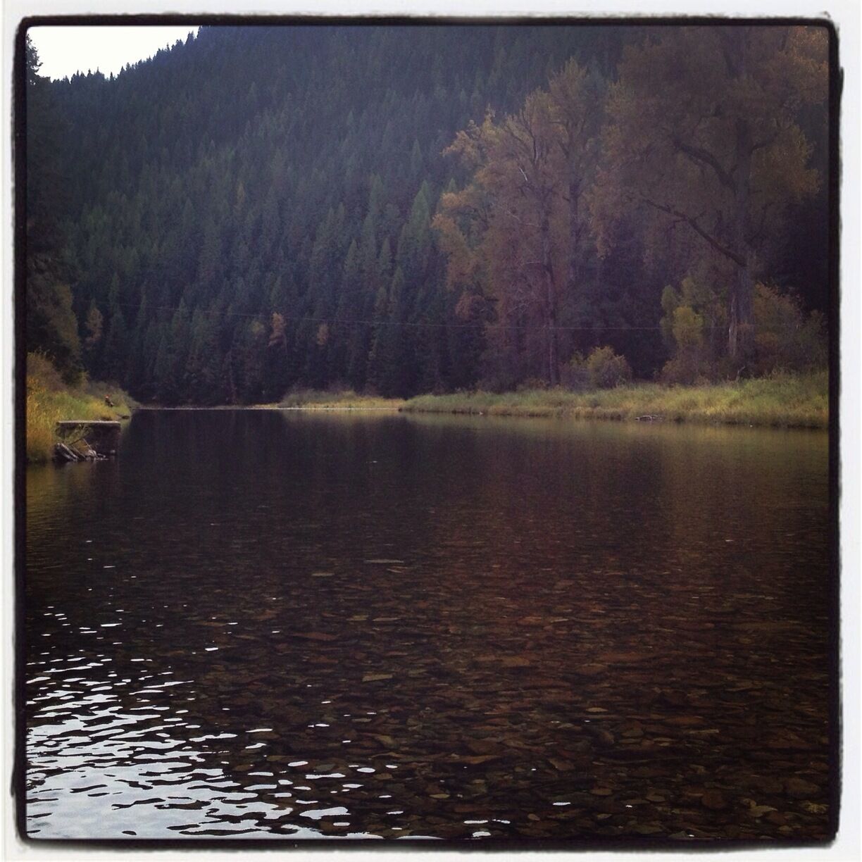 South Fork of the Coeur D'Alene River, Idaho - dry fly fishing. 