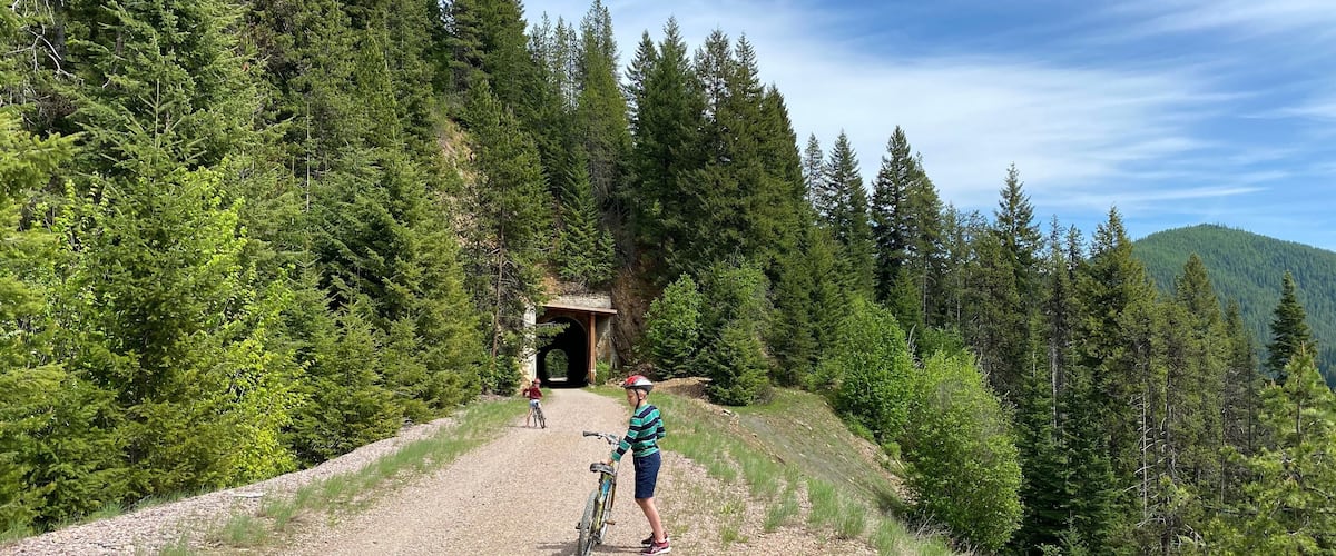 A gravel path leading to a tunnel in a forested area with dense evergreen trees.