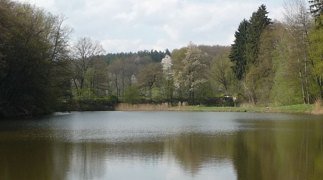 Die Schwarzweiher sind sechs miteinander verbundene Teiche.