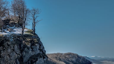 Beeches (Fagus sylvatica) on a rock near the summit of Txumarregi in the Entzia mountain range. Álava, Basque Country, Spain