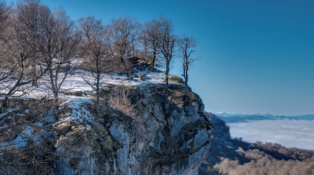 Beeches (Fagus sylvatica) on a rock near the summit of Txumarregi in the Entzia mountain range. Ălava, Basque Country, Spain
