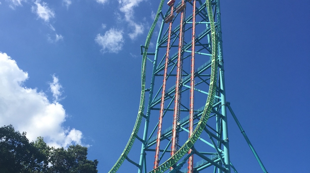 THE DROP! Drops you down 90mph at 6 flags: Great Adventure amusement park in Jackson, NJ! Buy tickets online, it's cheaper!
