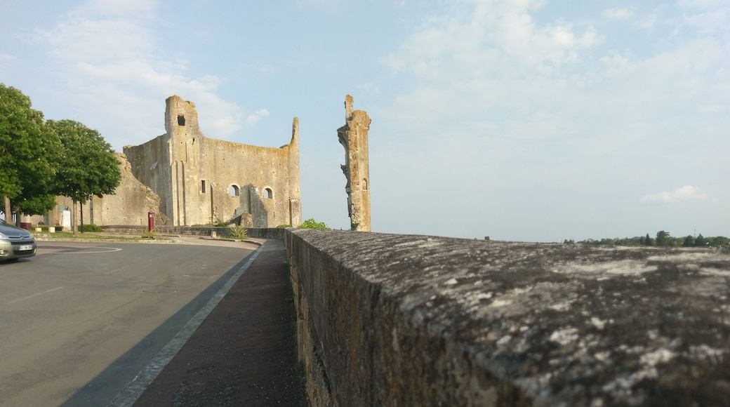 Cité médiévale de Chauvigny