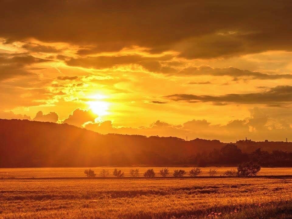 The sun sets in the countryside near Poitiers #TroveOnTuesday