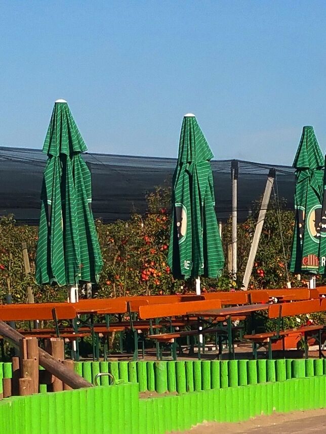 KANDEL - Obsthof Zapf