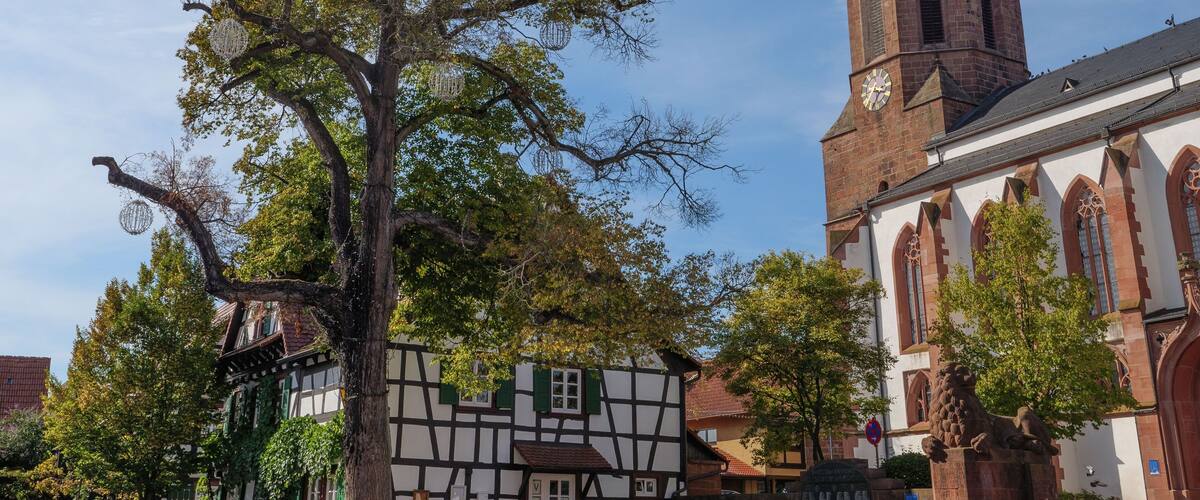A church with a clock tower, a tree with hanging decorations, and traditional half-timbered houses.
