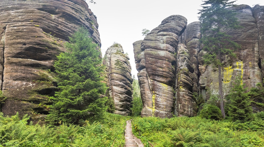 Adrspach-Teplice Rocks, sandstone formations in Hradec Kralove Region in Czech Republic, Europe. Striking sandstone rock formations showcasing nature's artistry, amidst lush greenery and scenic trails