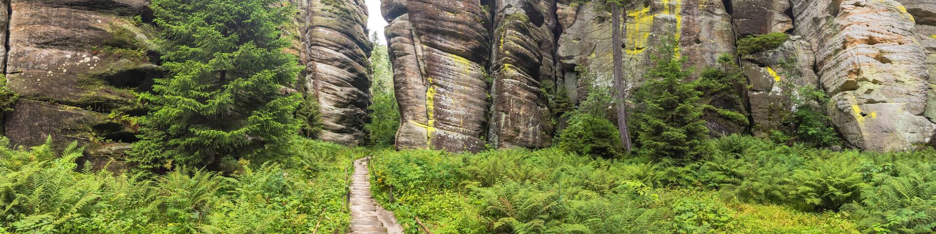 Adrspach-Teplice Rocks, sandstone formations in Hradec Kralove Region in Czech Republic, Europe. Striking sandstone rock formations showcasing nature's artistry, amidst lush greenery and scenic trails