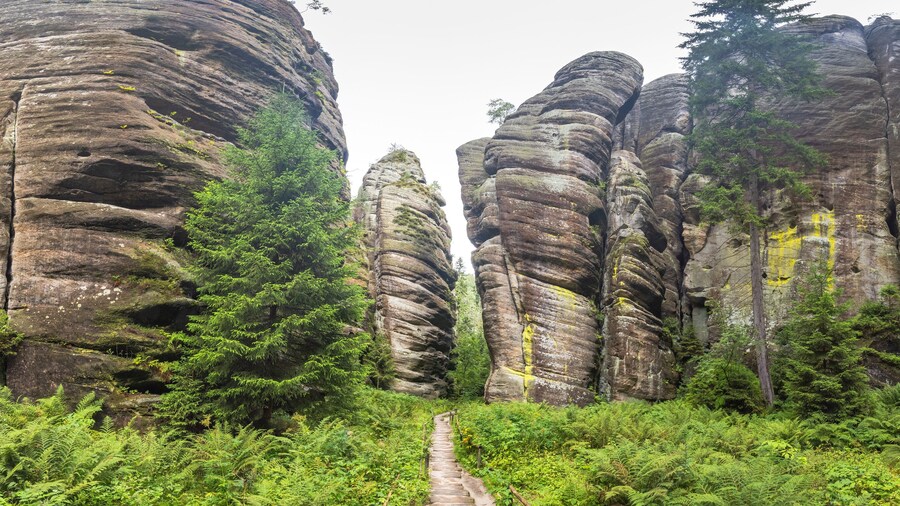 Adrspach-Teplice Rock Park (parque con formaciones rocosas)