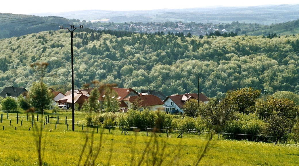 MĂŒnchwies (Neunkirchen), at the Höcherberg