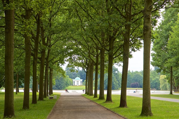 Staatspark Karlsaue das einen Park