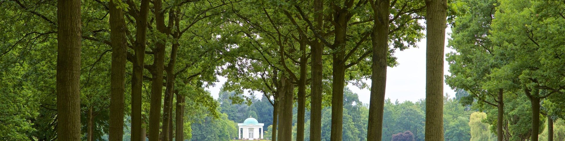 Karlsaue Park featuring a park