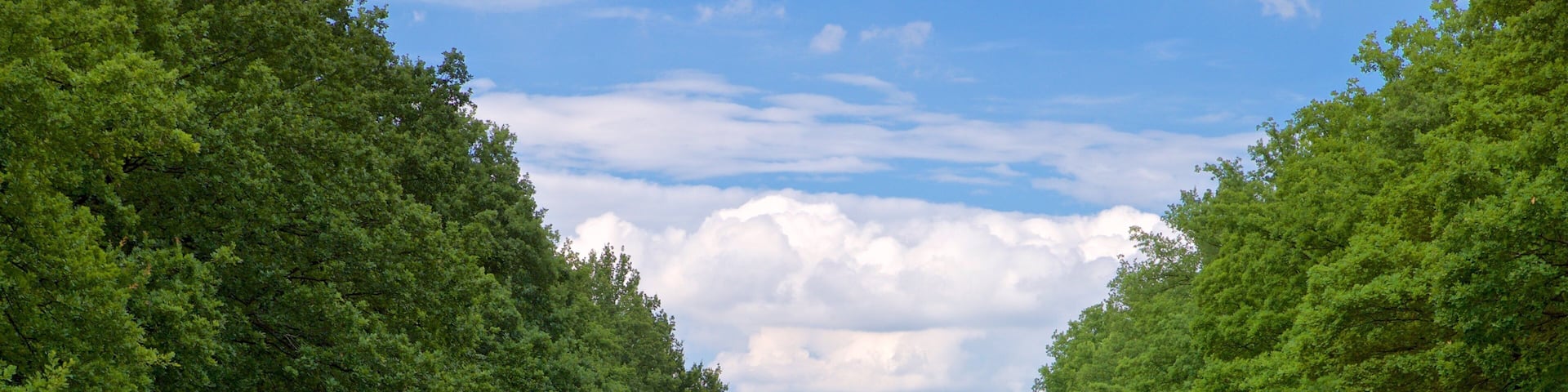 Karlsaue Park featuring a river or creek