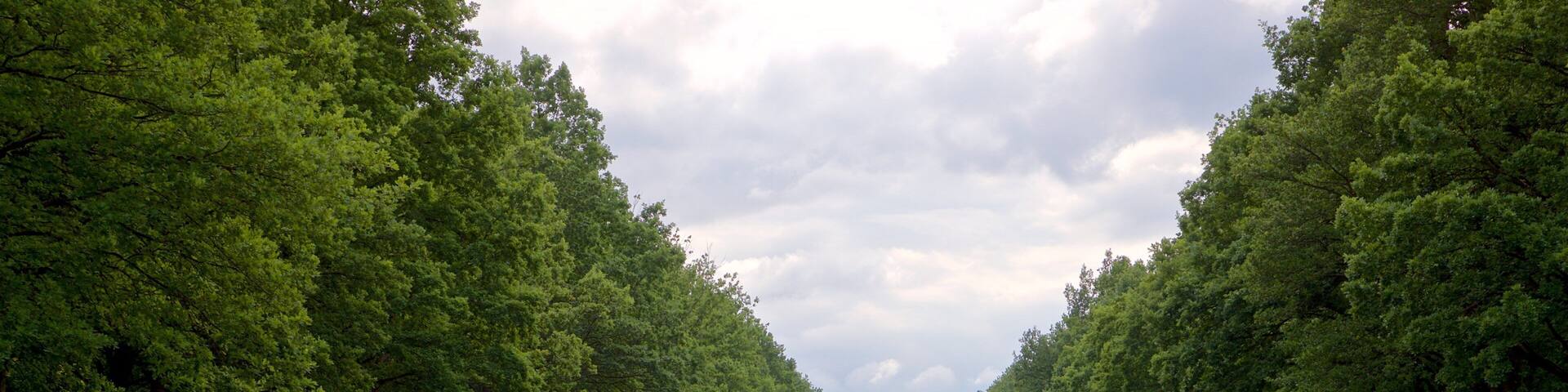 A canal flanked by tall trees under a cloudy sky.