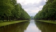 Un canal bordeado por altos árboles bajo un cielo nublado.