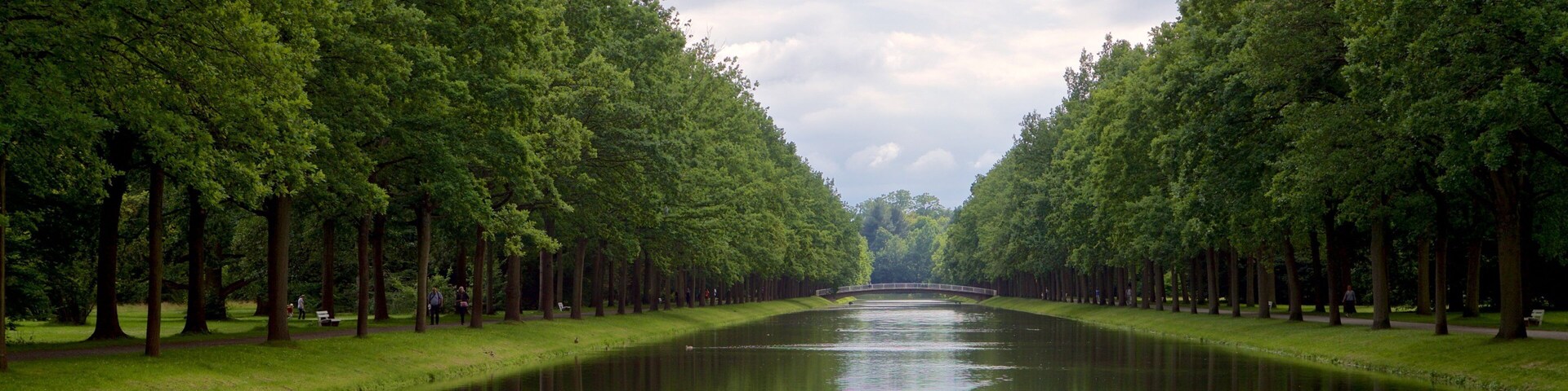 Un canal bordeado por altos árboles bajo un cielo nublado.