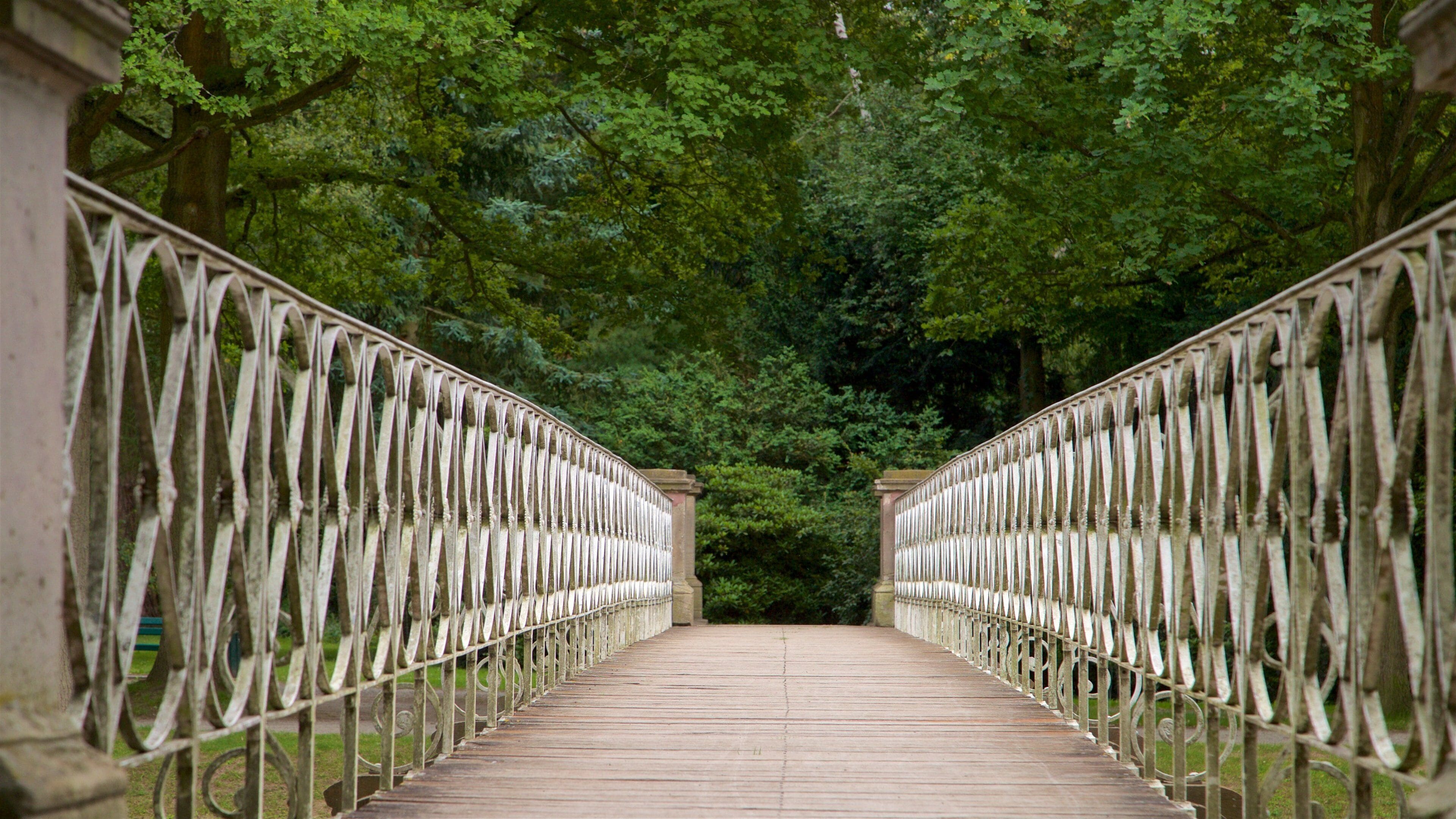 Karlsaue Park which includes a bridge