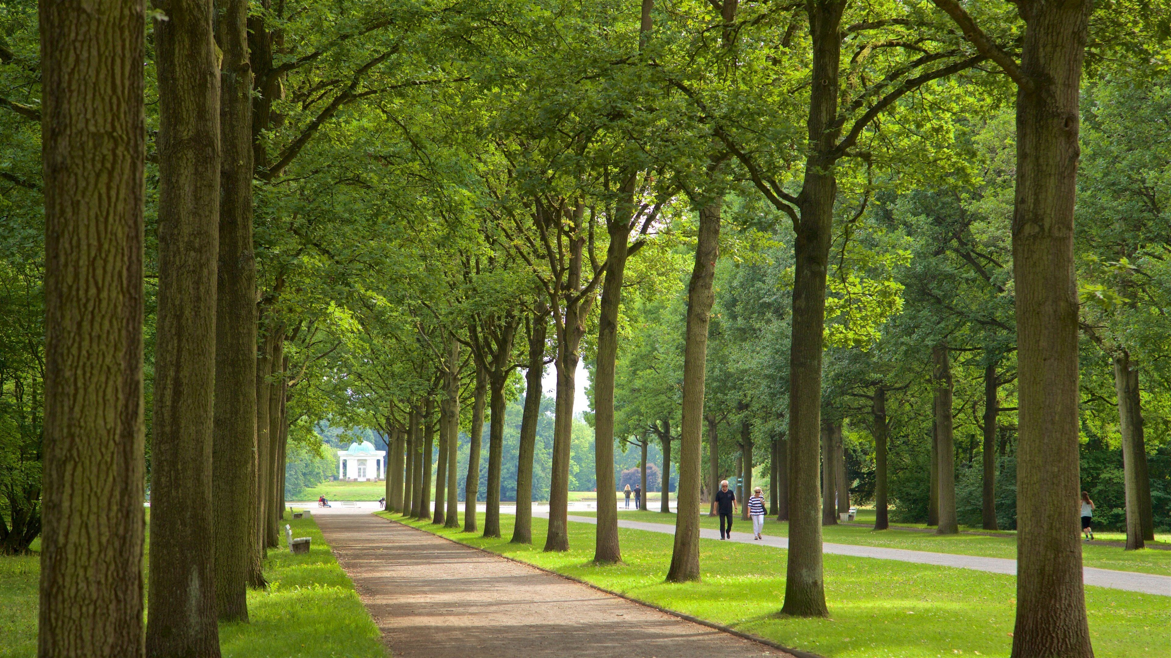 Karlsaue Park featuring a garden as well as a couple
