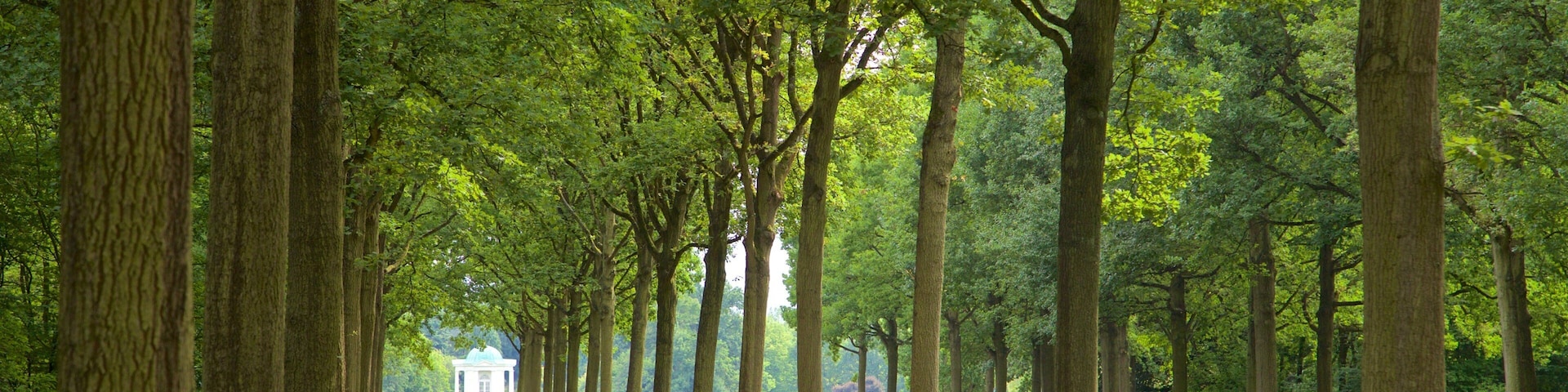 Un sendero bordeado de árboles que conduce a un edificio blanco con una cúpula.