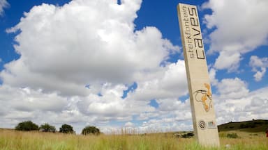 A tall monument with a footprint and text, set against a grassy field and a partly cloudy sky.