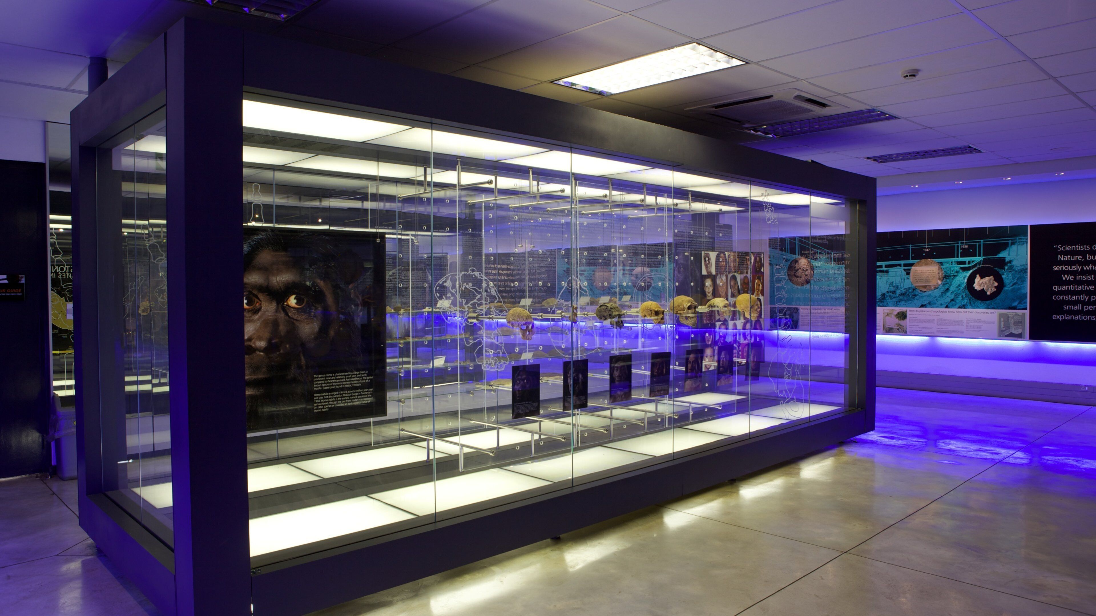 Sterkfonteinin luolat johon kuuluu sisäkuvat