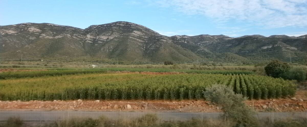A mountainous landscape with a river in the foreground and fields of crops.