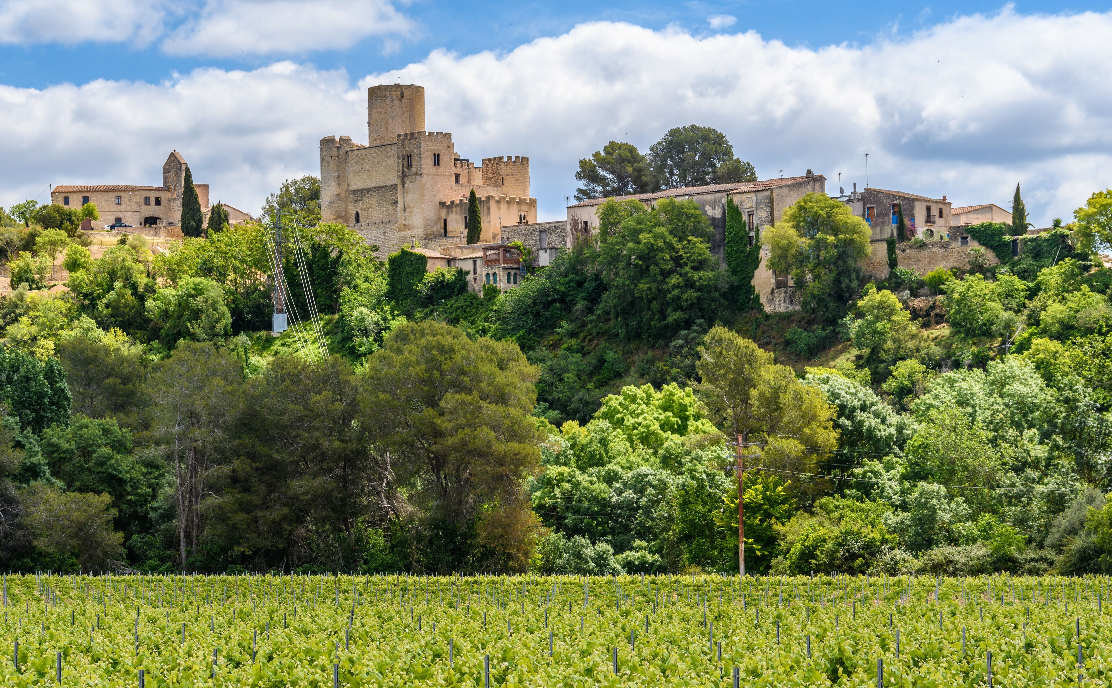 Castle of Castellet and Vinyeards near Foix Reservoir, Catalonia, Spain